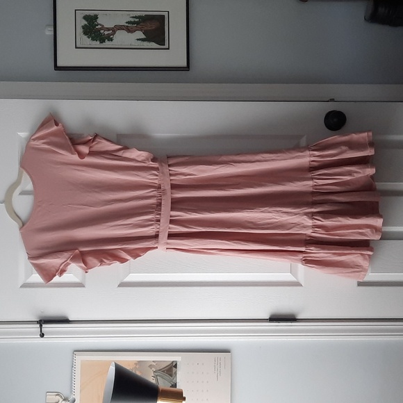 Elegantees Pink Ruffle Midi Dress XL - Picture 2 of 4